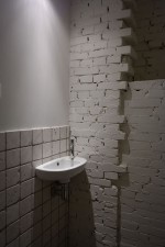 zolderverbouwing - attic conversion_den_haag-toilet-1